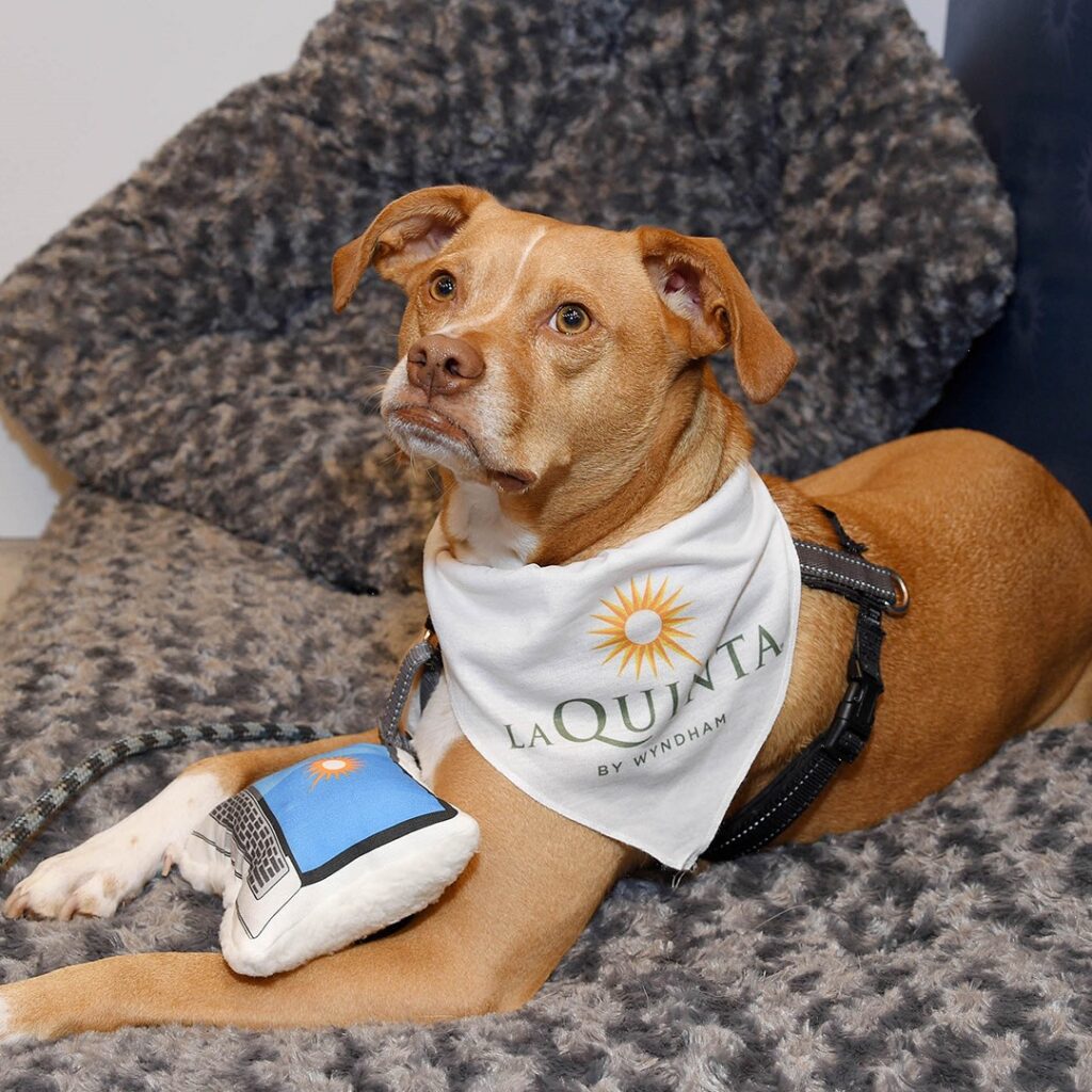 La Quinta by Wyndham makes pet-friendly accommodations accessible to all travelers without compromising on quality.